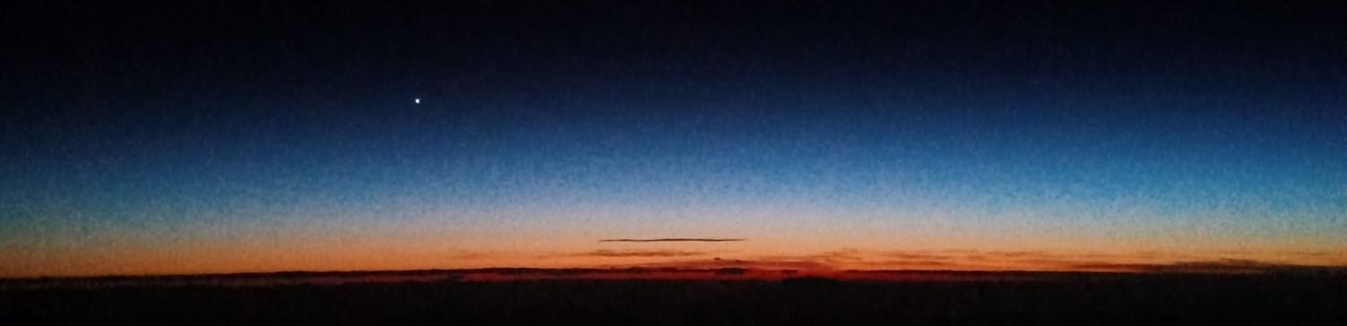 The Autodidactic Human